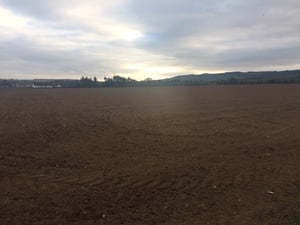 ploughed field spring barley 2019